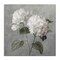 Stupell Industries White Hydrangeas Pair Canvas Wall Art Design by Danhui Nai
